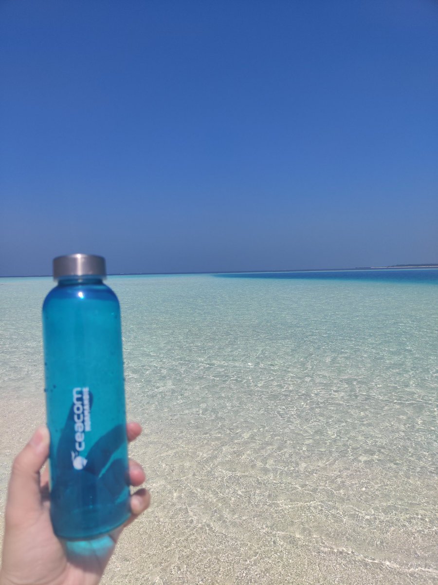 CeacomLeHavre's tweet photo. 📍DE PASSAGE AUX MALDIVES 🤩

Notre gourde collector #CeacomNormandie s'est envolée vers les magnifiques plages des Maldives🏝️

Un petit bout de paradis bien mérité pour notre fidèle partenaire de voyage !🧳

#VisitMaldives @visitmaldives https://t.co/g4FXi7u4jw