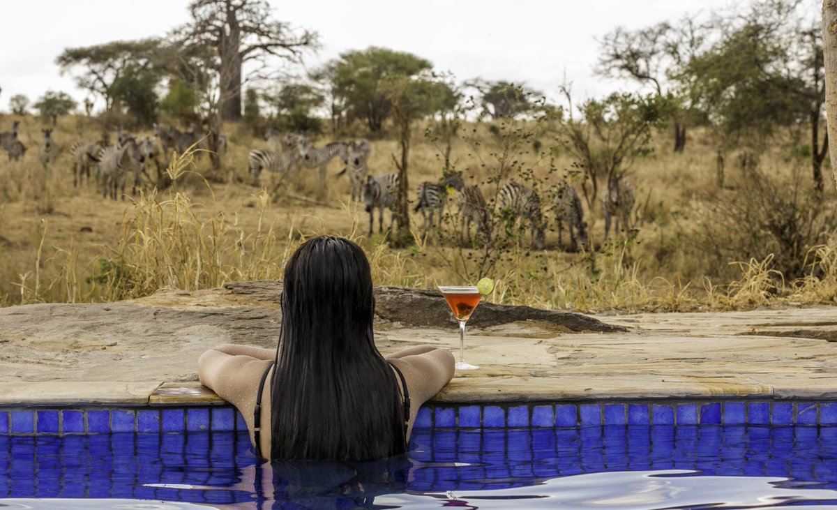 Safarilocations's tweet photo. We offer customized tailor - made Safaris for  honeymooners, incentives, individuals and groups. All accommodation in lodge, resort and permanent luxury camps.

 🤠 Book Now 👇
Whatsapp/ Telegram; +255755674330
Email: info@africankushsafaris.com
Website; https://t.co/Q6kYyMLG5q https://t.co/aJXZVUu8vQ