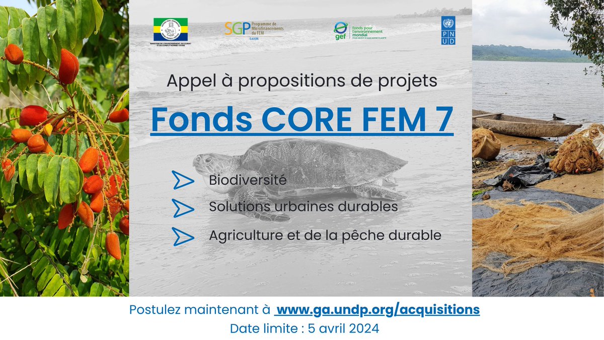 undpgabon's tweet photo. 📢Avis aux ONGs & OSCs, la 2ème cohorte des projets FEM7 est là! @GEF_SGP & la #DGEDD lance un appel à propositions de projets en vue de soutenir les actions communautaires pour la protection de l’environnement au🇬🇦
📅Date limite: 5 avril 2024
Postulez ici https://t.co/w5uz07HW6F https://t.co/8hOeAj5lfW