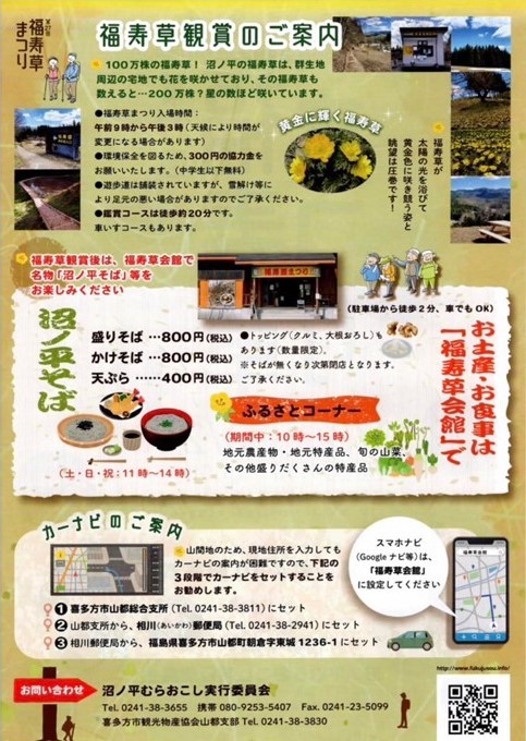 IransyoA's tweet photo. 春の訪れを���げるお花 #福寿草。#山都町沼ノ平 では、今年も福寿草まつりが開催されています！日本最大級の群生地として例年3月中旬から4月中旬にかけ100万株の花が咲き誇ります。福寿草は縁起のよい花、ぜひ見に来てくださいね。
お問合せ：沼ノ平むらおこし実行委員会TEL0241-38-3655 https://t.co/G2jD0Oesdk