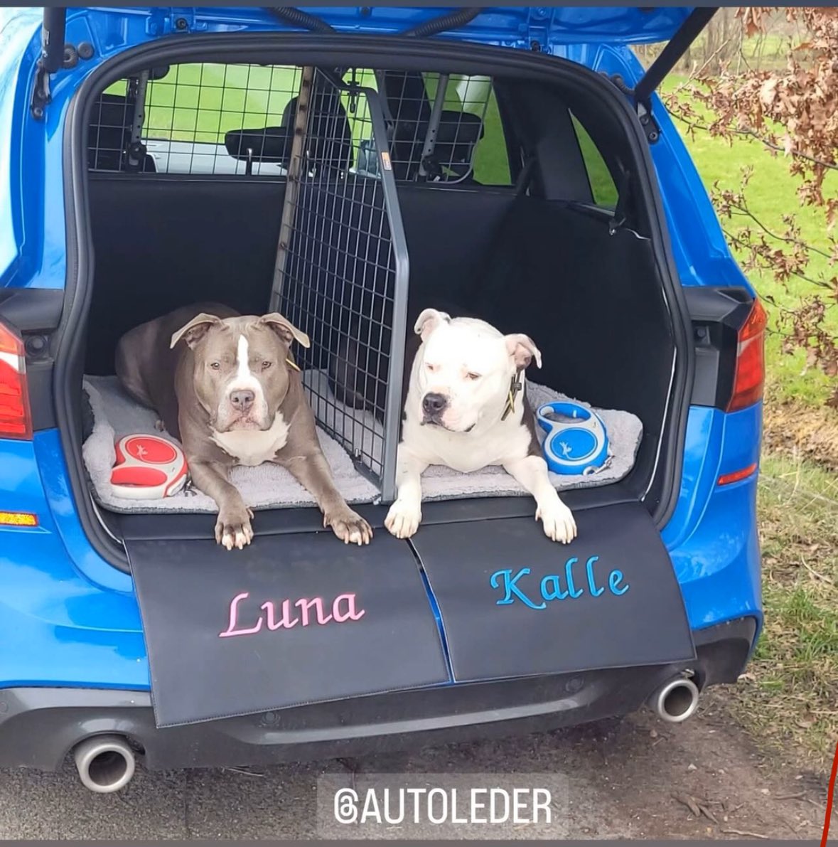 AutoLeder's tweet photo. Hier für Hunde neu Kofferraum Gestaltung von @AutoLeder https://t.co/O9x05MxQQ3
