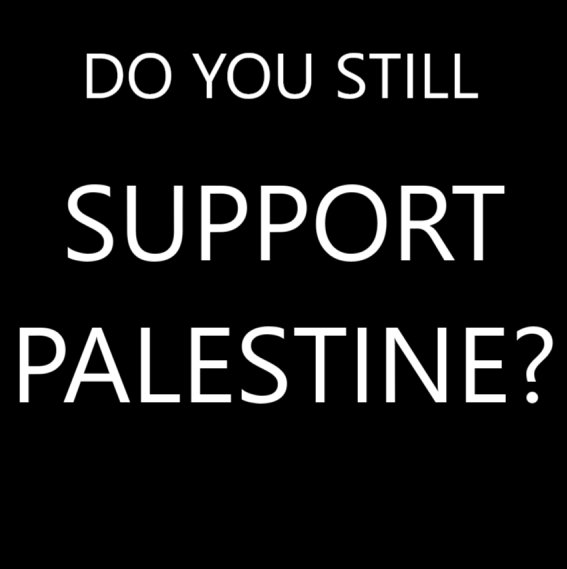 Naila_Ayad's tweet photo. Do you support Palestine now? https://t.co/fYpdPObFxP