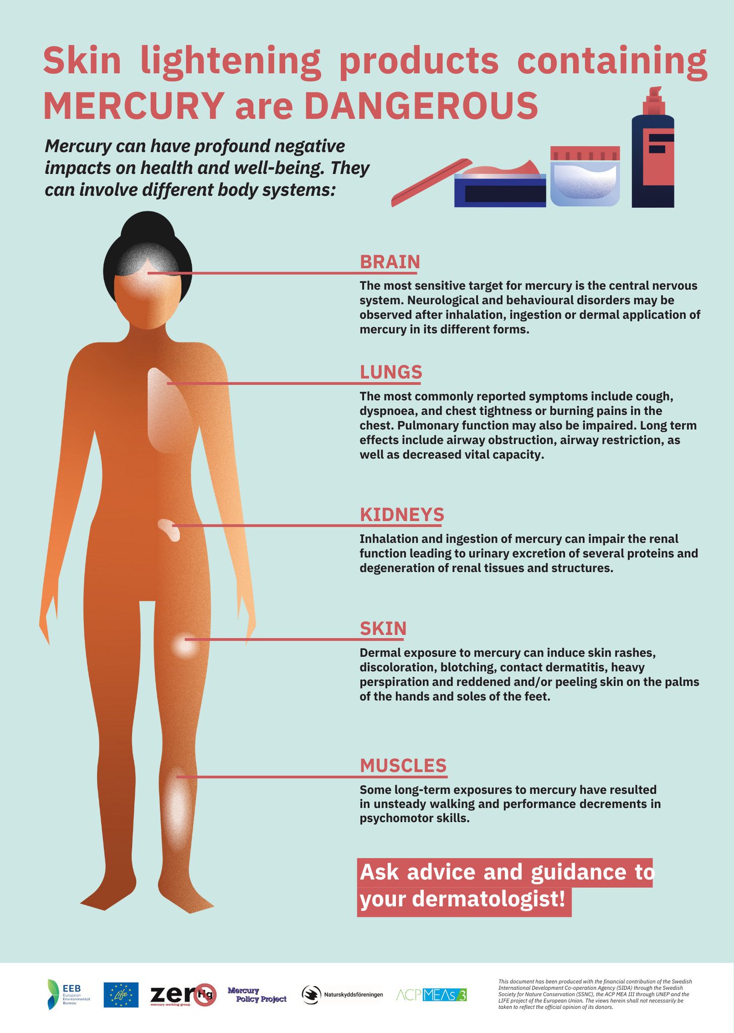 Merc Rash Mercury Poisoning Skin Rash Public Health Alert: Potential Measles