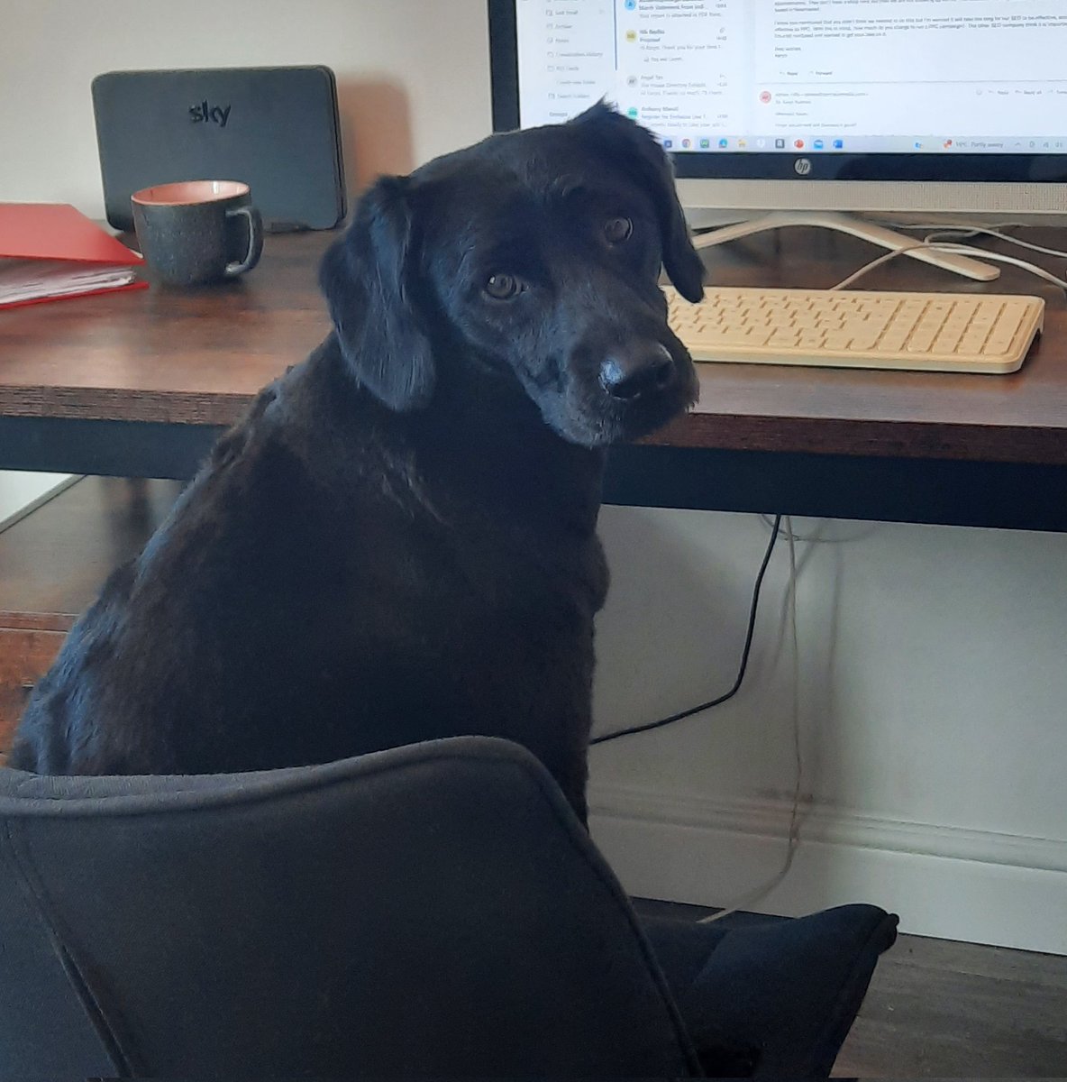 Dr Nick Rudman tweet media