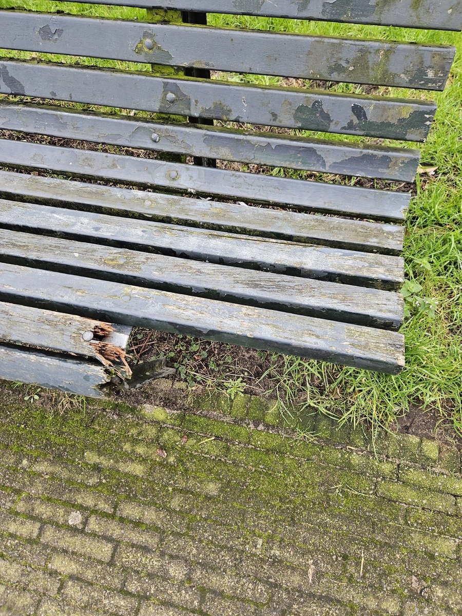 Daniel van der Ree 🇳🇱 tweet media