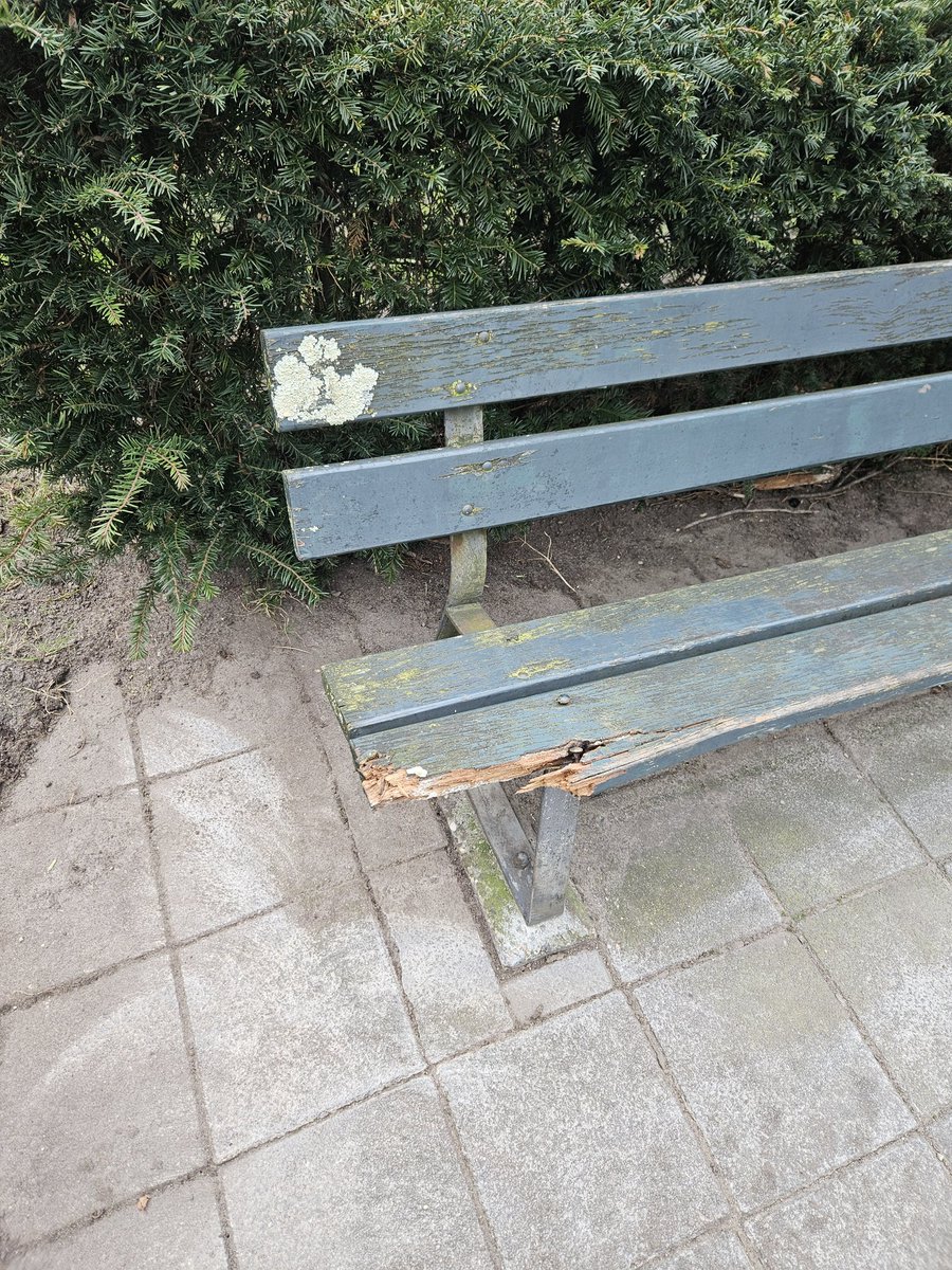 Daniel van der Ree 🇳🇱 tweet media