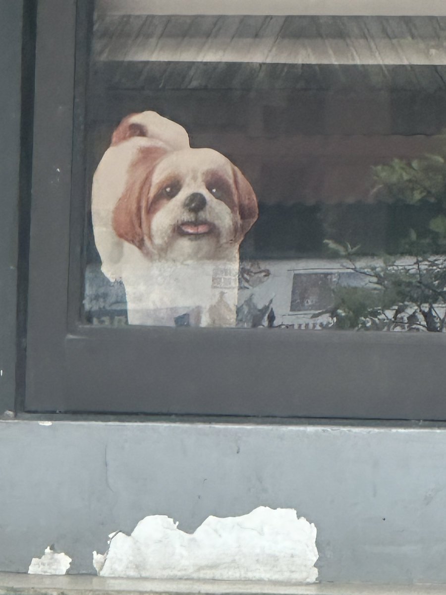 emilcailing's tweet photo. me: cute naman nung dog. kaso bakit parang di nagalaw?

a, kaya pala. https://t.co/0SGXPTOx5g