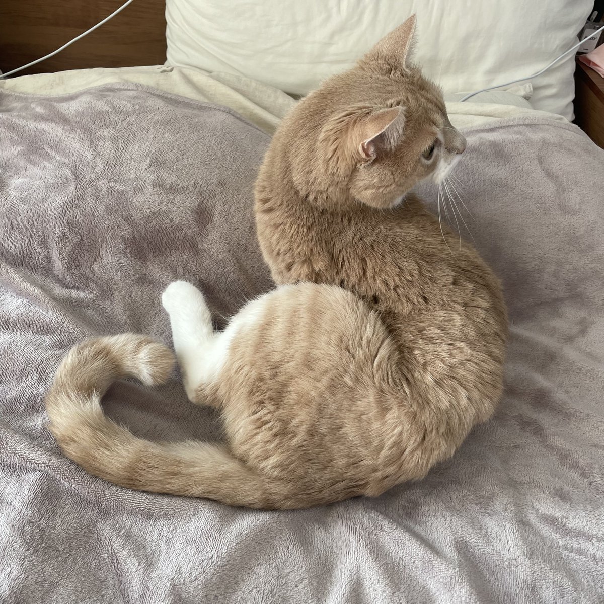 대체 몸이 어떻게 된 거야 ;;