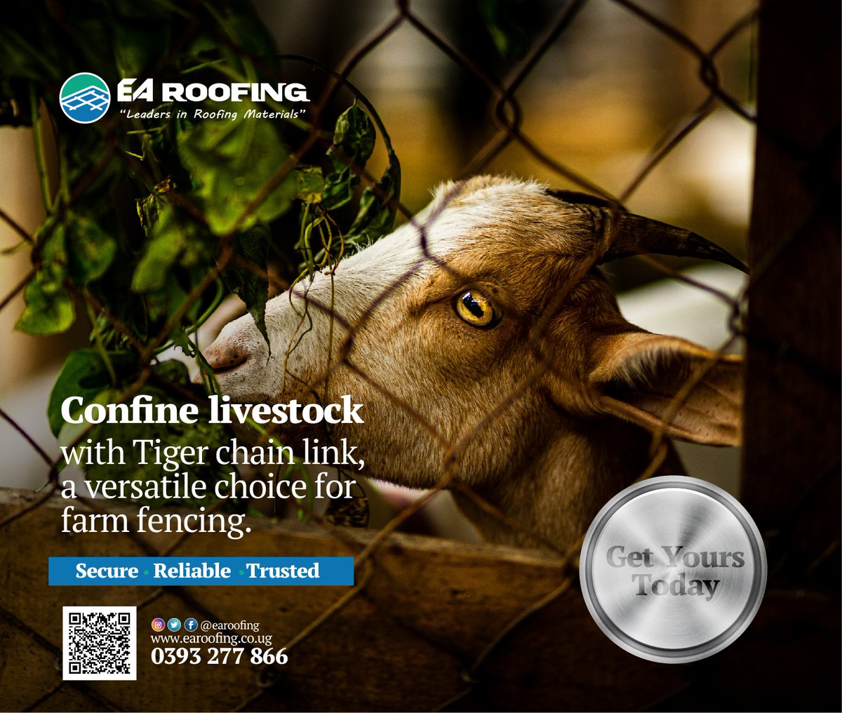 EaRoofing's tweet photo. Upgrade your farm security with chain link fencing. It's perfect for keeping your animals in and predators out. Visit our factory today to get yours.
#earoofing #constructionmaterials #PVCchainlink #tigerchainlink #ChainlinkTheRightChoice https://t.co/M9Ts1HOniW