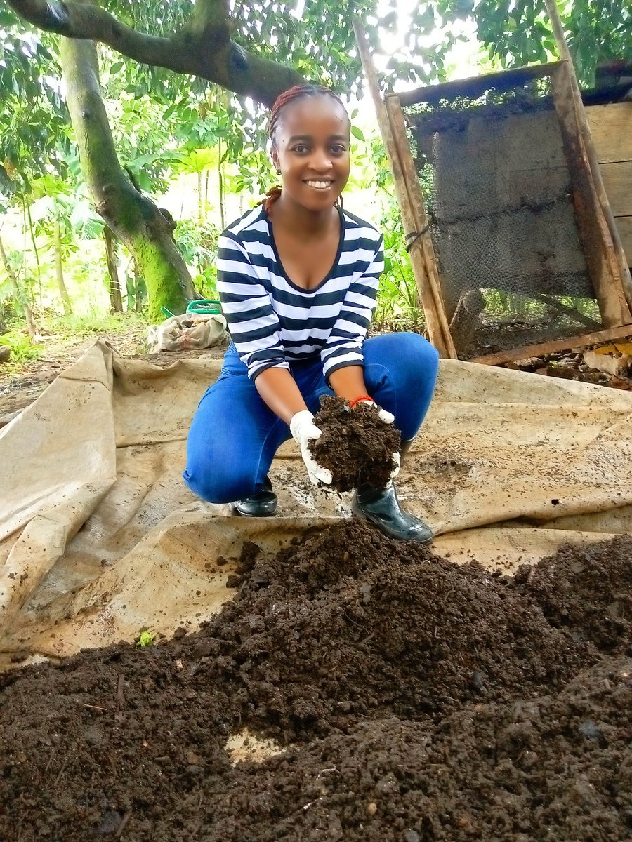 #vermicompost

📍Nutrients rich soil amendments. 
📍Environmental friendly.
📍Enhance overall plants health.