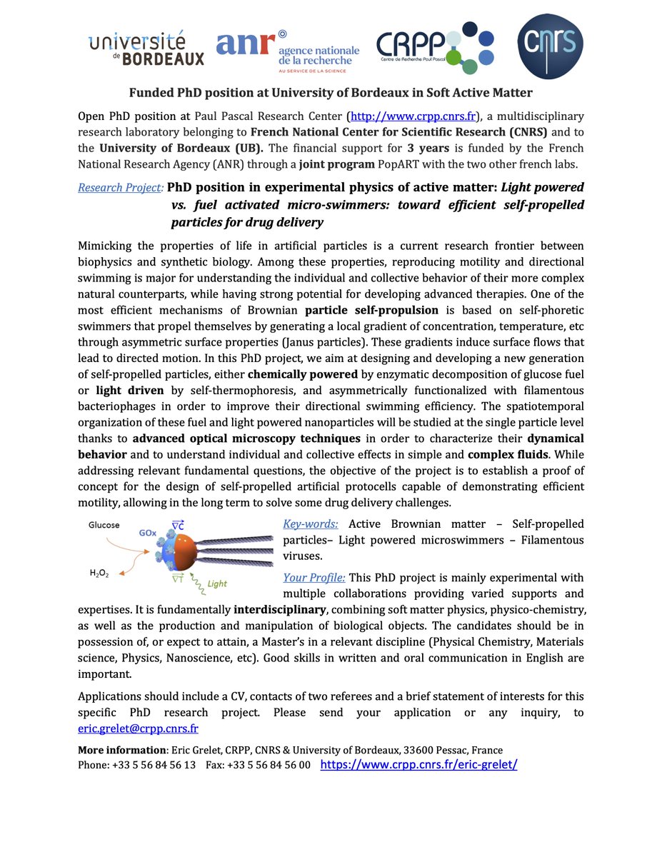 Interested in a PhD position in active matter and micro-swimmers using @LCPO_Poly4Life's made polymersomes for drug delivery? Apply to this PhD position opened at @CRPP_Bx in the framework of the ANR funded project PopART.