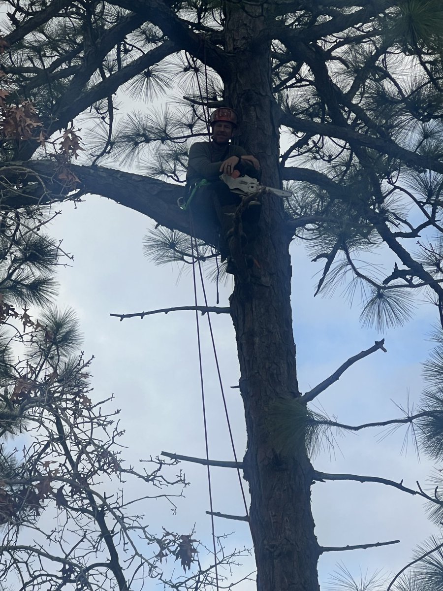 Career Day was so exciting! Look up in the tree!