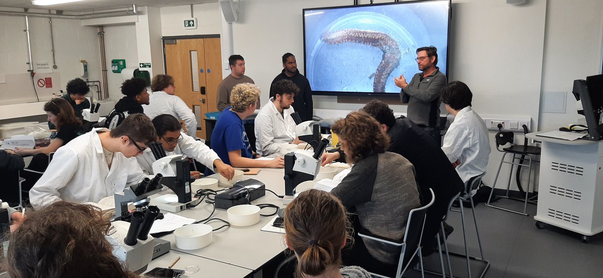 Ben Ciotti tweet media