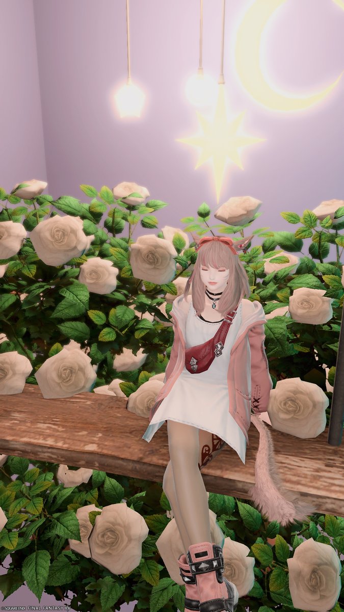 Y03Y03_FF14's tweet photo. フルムーンさんの向かいに素敵なスタジオがありましたにゃ~✨どのブースも可愛かったにゃ❣
#SD_Emihara https://t.co/qcTh6UiGpP