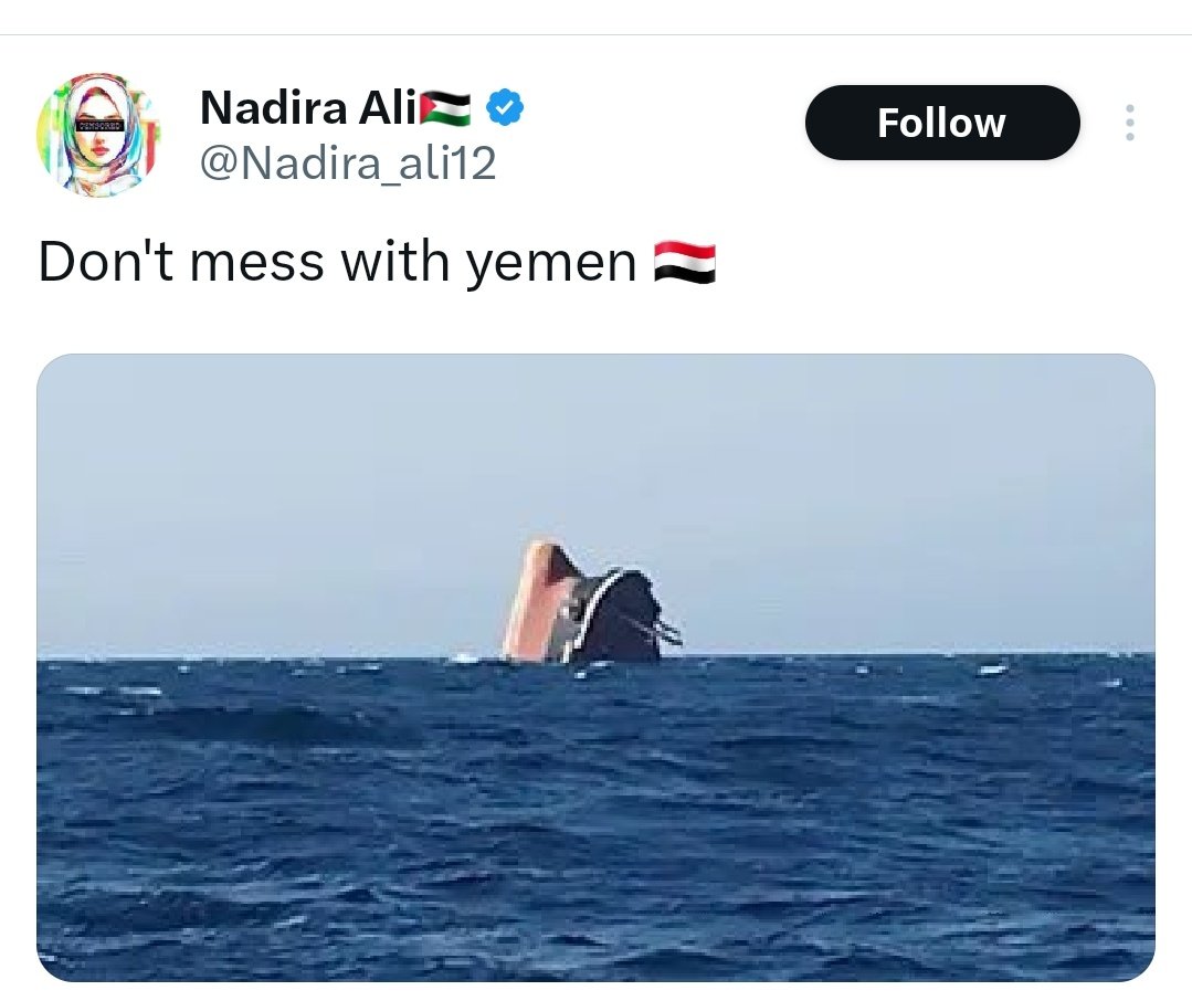 How stupid should you be to celebrate the sinking of an oil tanker off your own coast that causes massive pollution in your own sea, killing millions of fish which are about the only source of food for your own people?

And the best part? The ship was not Israeli 🤡