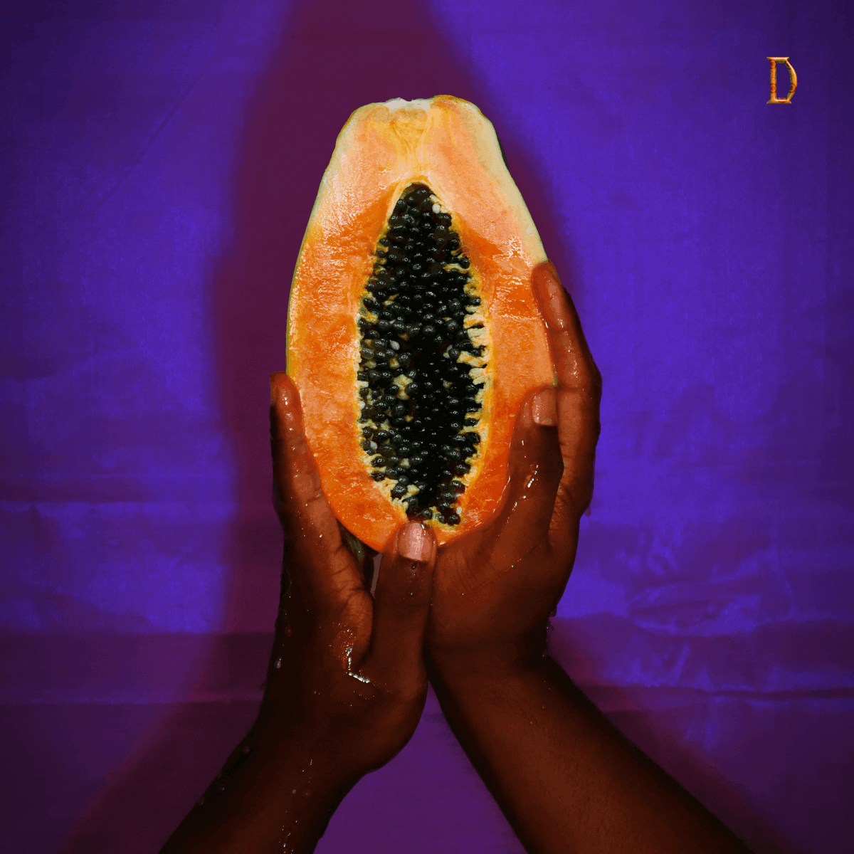 NaaviKaran's tweet photo. My latest single that celebrates #T4T is now out! PAPAYA (feat. Malaika Mfalme). Listen now! https://t.co/pJEootueaW https://t.co/0PZtWmUiqf