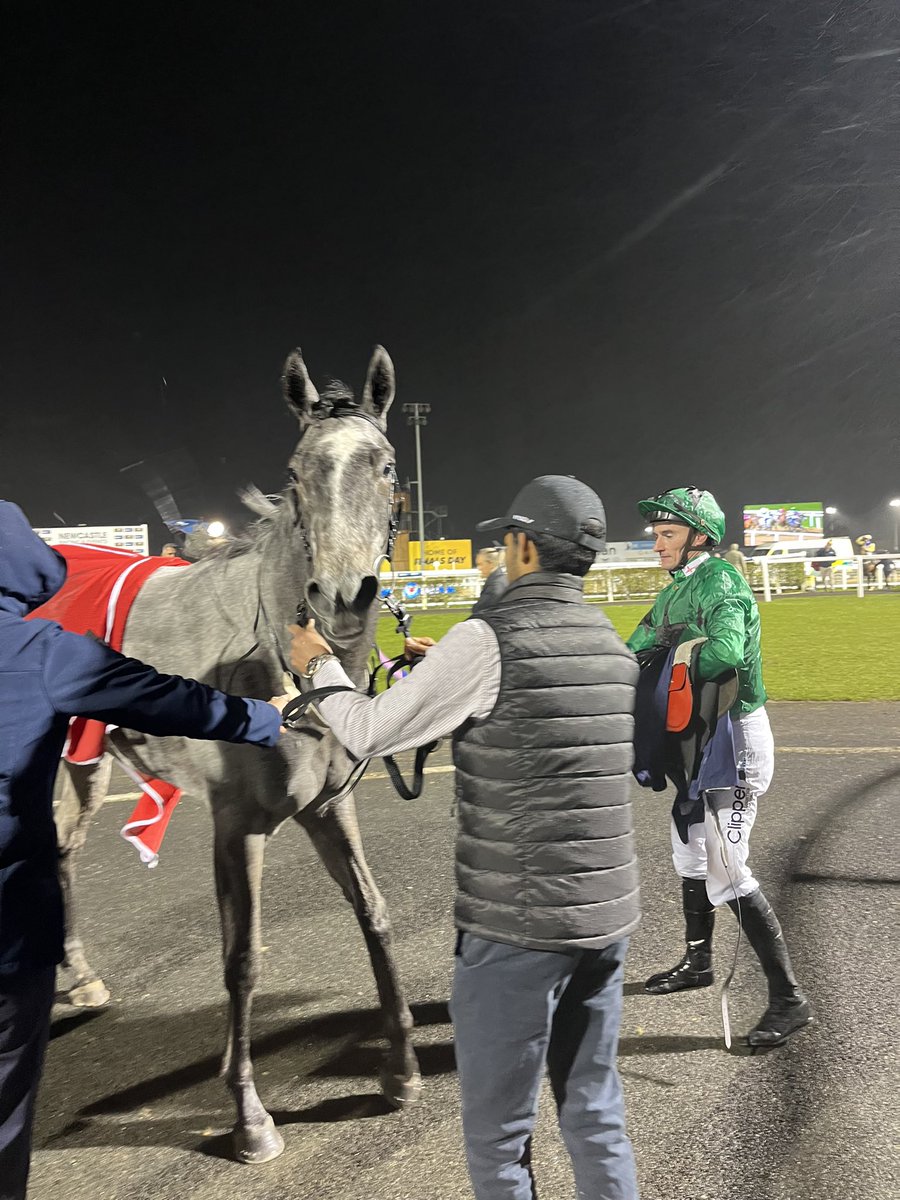 A ‘cheap filly’ bought by @lukelillingston at the @Tattersalls1766 sales, and trained by @omeararacing & his wonderful team. She won on debut at @Redcarracing , first ever winner for @WhitsburyManor leading sire Havana Grey, and took the class 2 Hilary Needler at @Beverley_Races