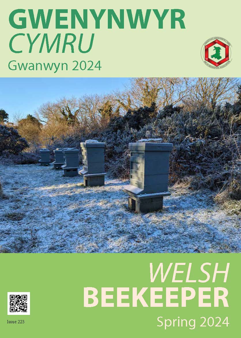 welshbee's tweet image. The Spring edition of the Welsh Beekeeper will be landing on doormats very soon but, if you can't wait, you can read it here wbka.com/wp-content/upl…