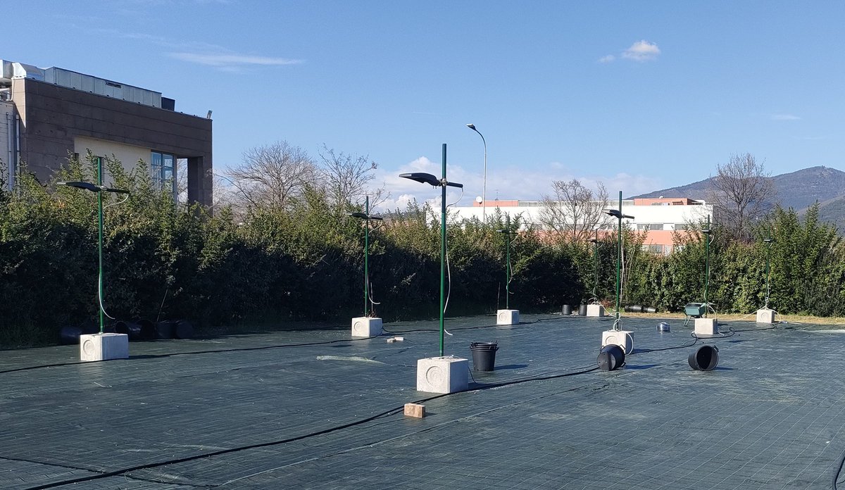 Thrilled to announce the launch of our #PRIN project, investigating urban tree responses under LED street lamps! 🌳 Let's shed light on how technology impacts our environment💡#urbantrees #plantsci #plantphysiology