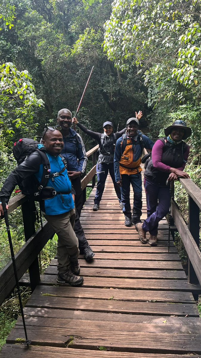 TTipwa's tweet image. Hiking Kilimanjaro:

Day one: Nairobi to Moshi, and the start of our ascent towards Mandara Hut on Kilimanjaro. Memories etched in every step. 🏔️ #Kilimanjaro #AdventureBegins