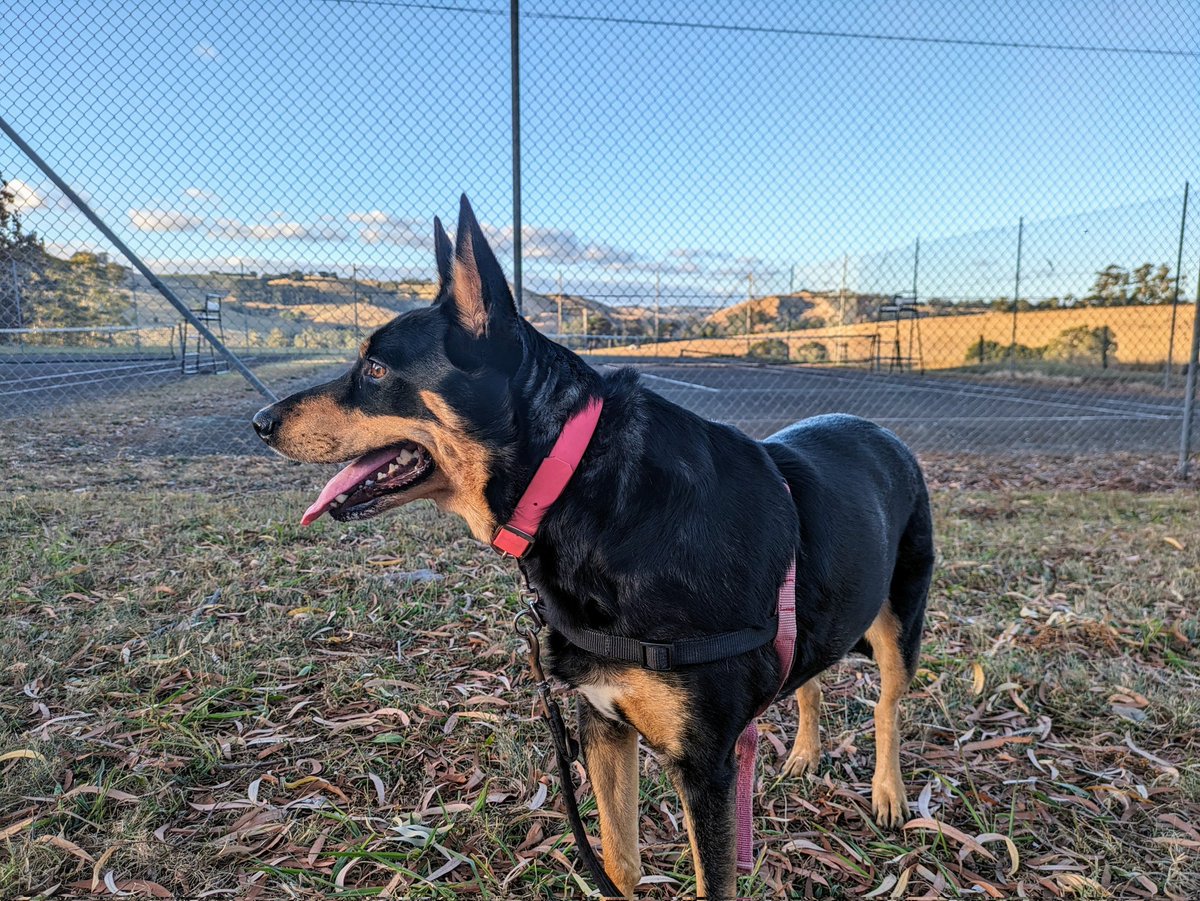 Eamon Charles tweet media