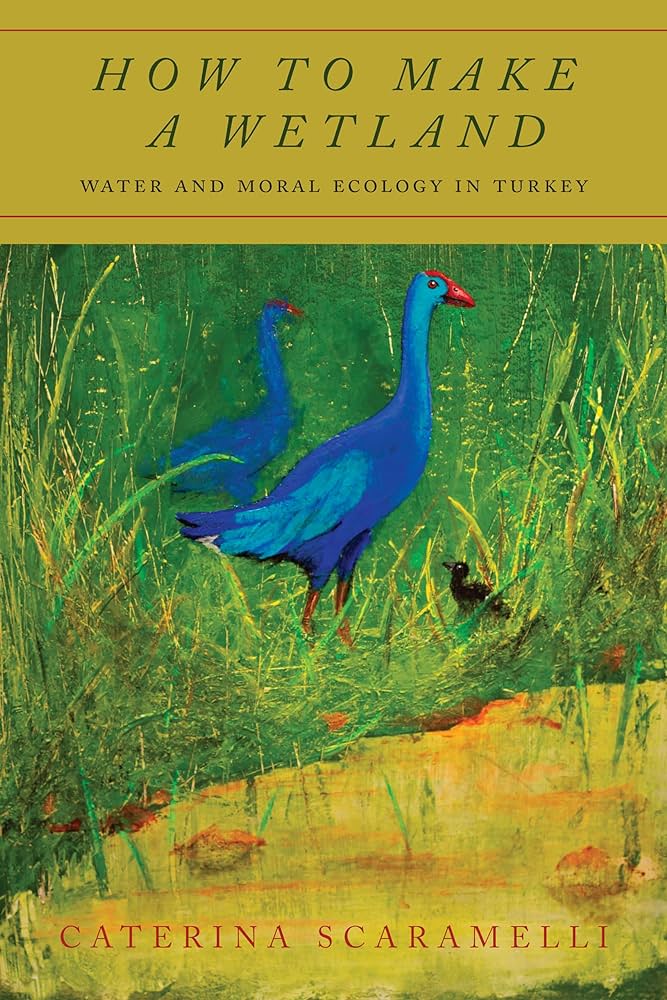 Available now ahead of print: @paolo_gruppuso's review of the book titled How to Make a Wetland: Water and Moral Ecology in Turkey by Caterina Scaramelli #consocsci #openaccess | rb.gy/6u4ymk