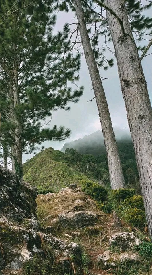 3 years ago today 💕
#nature 
#mountain 
#topofthemountain 
#photography