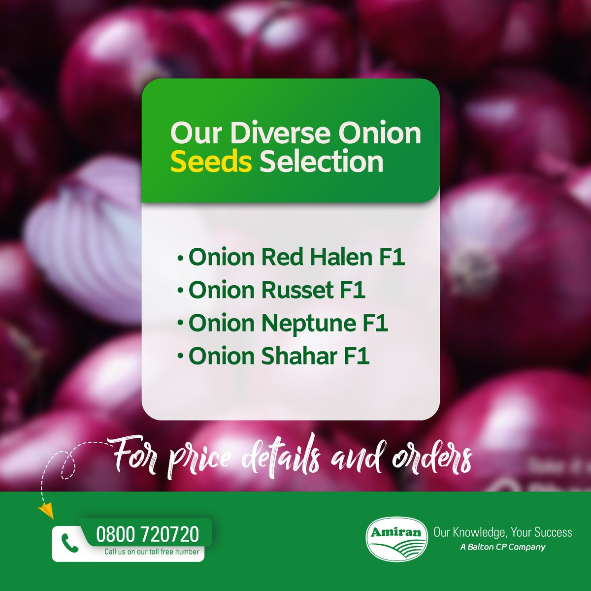 Which onion variety do you like growing? Here is the Amiran diverse onion selection tailored for your agricultural needs: 1. Onion Red Halen F1: 2. Onion Russet F1: 3. Onion Neptune F1: 4. Onion Shahar F1: For pricing details and orders, call us toll-free on 0800720720.