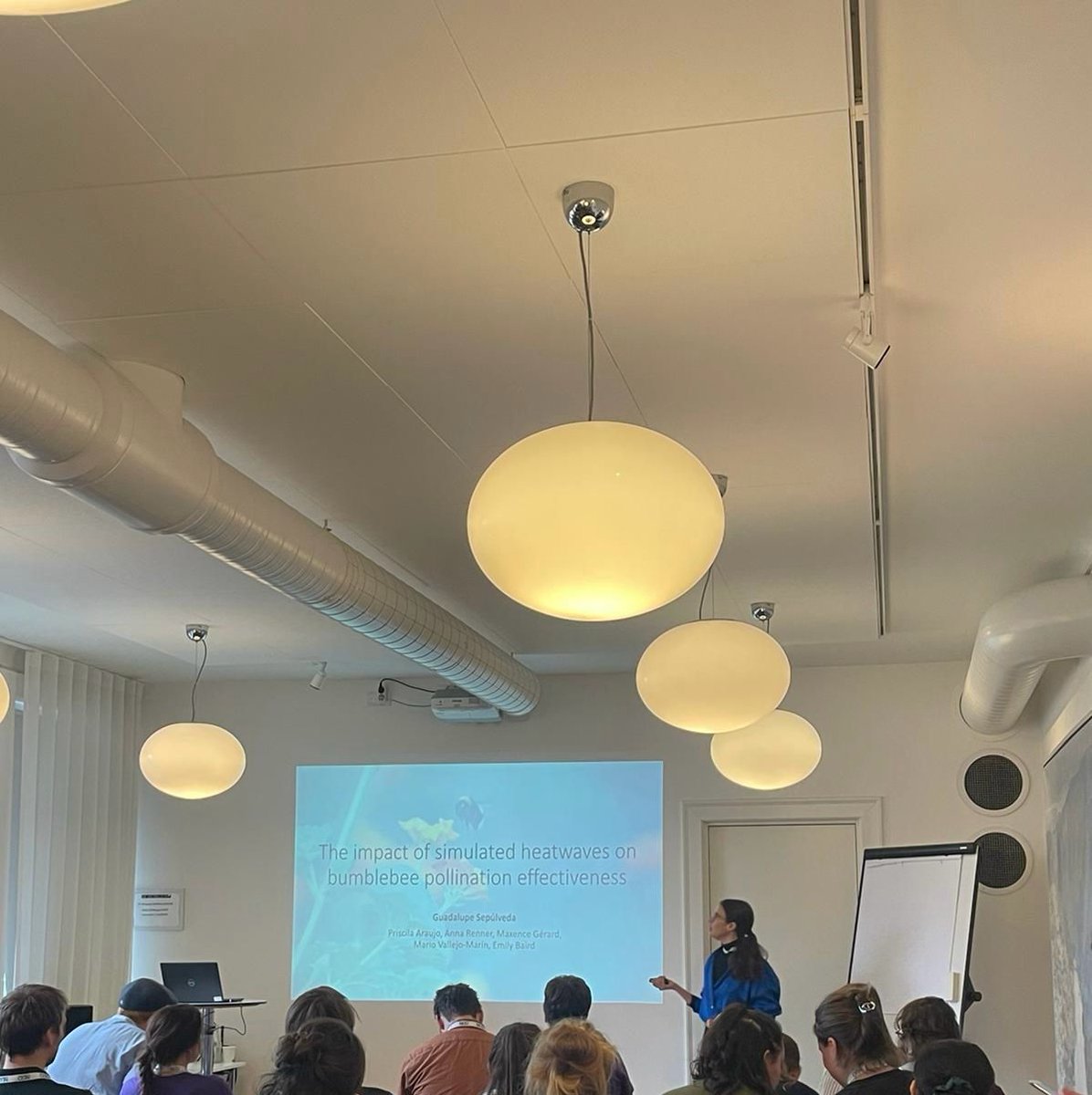 Zoology_SU's tweet image. Exciting research presented by members of the department yesterday at #NordicOikos2024. Posters by @b_siemers and Isabelle Resende and talks by @guasepulvedar and @MatsIttonen!