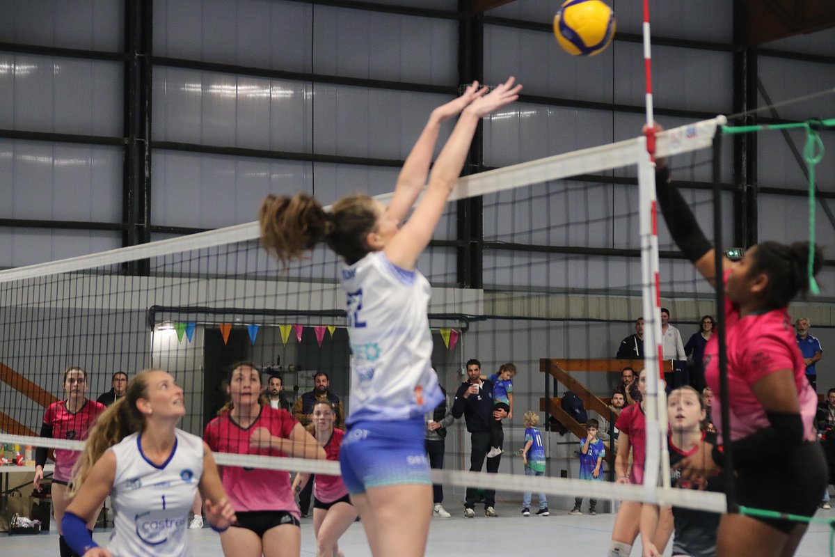 Castres Massaguel Volley-Ball tweet media