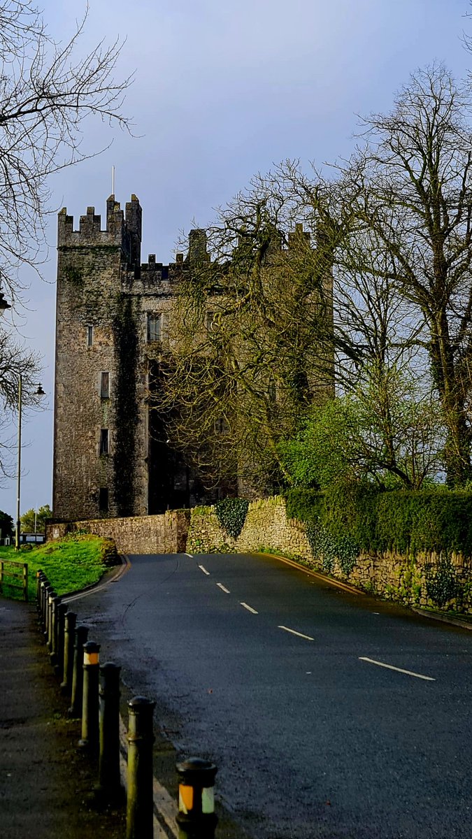 Bunratty doing its best this morning for the weekend that's in it.