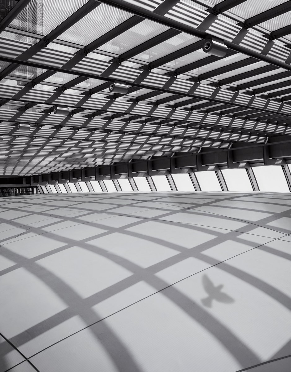 Celil BEZENG tweet media