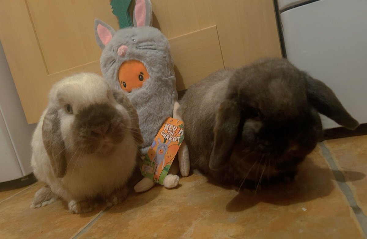 “uh mum why is this carrot dressed like us?”👀🤣 @AldiUK #KevinTheCarrot