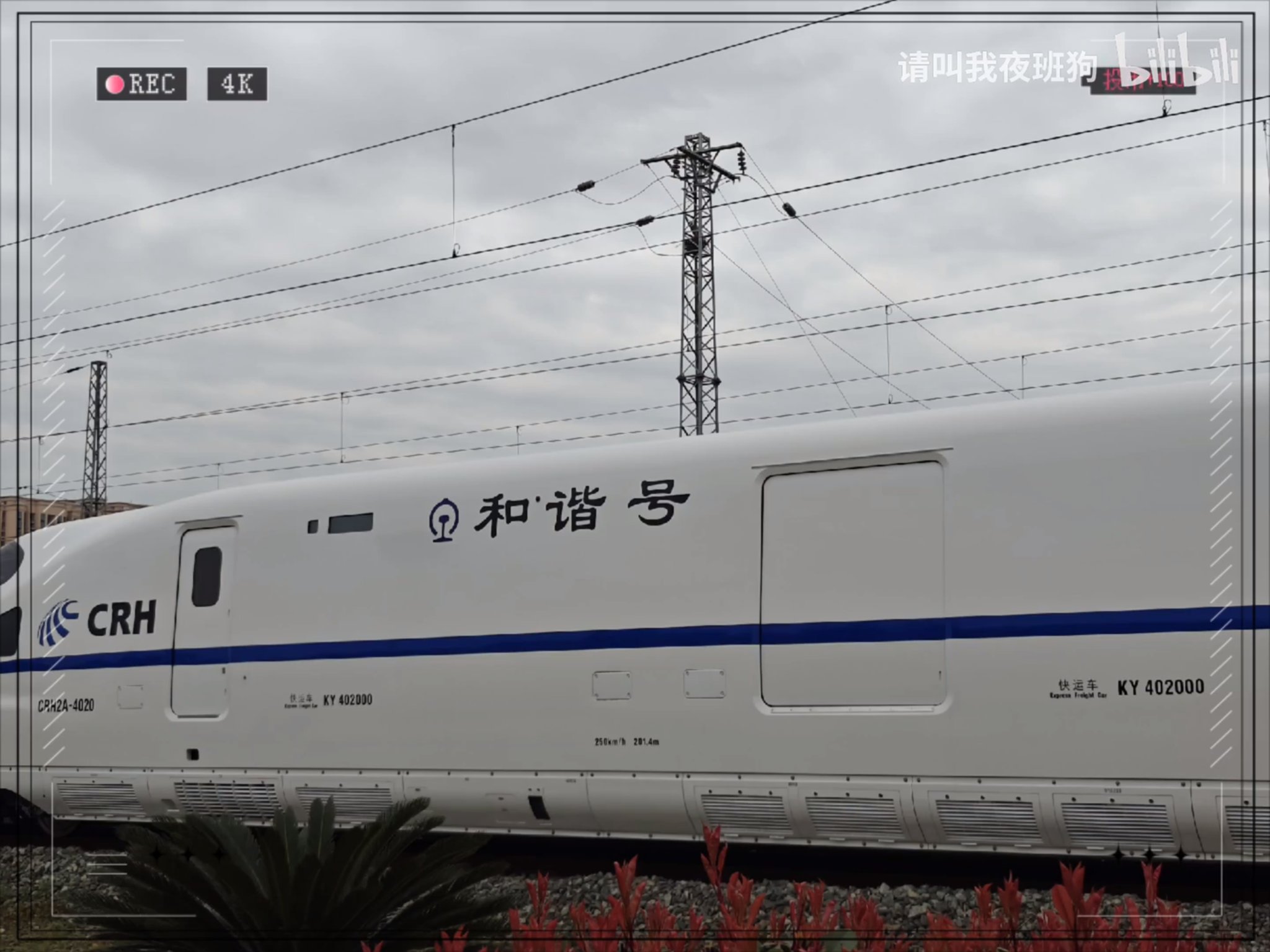 流れ雲 電子雲製サクラ🦊 on X: 