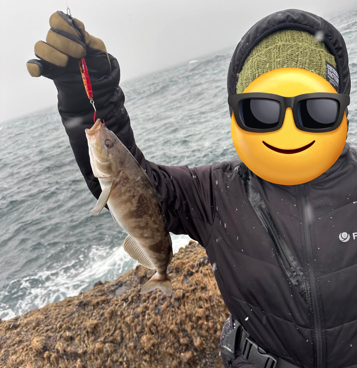 mominoki_farm's tweet photo. やっとホッケ釣れた!!😭✨️
あーーよかったー😭😭😭笑
#鱒男
#EndoCraft https://t.co/XxG1V0bB4v