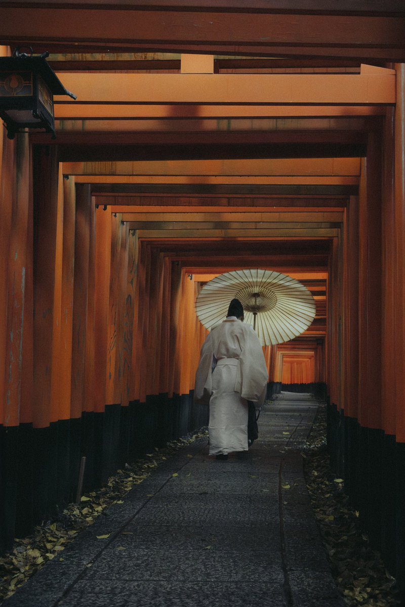 京都行きたいな。いや住みたい。