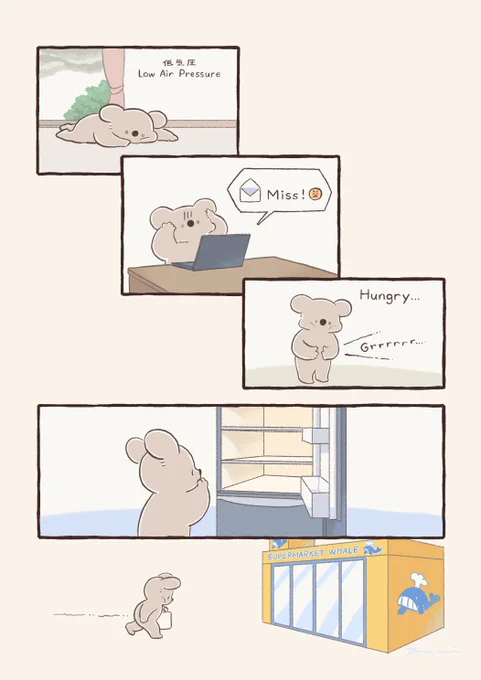通りすがりのやさしさに出会ったコアラ 