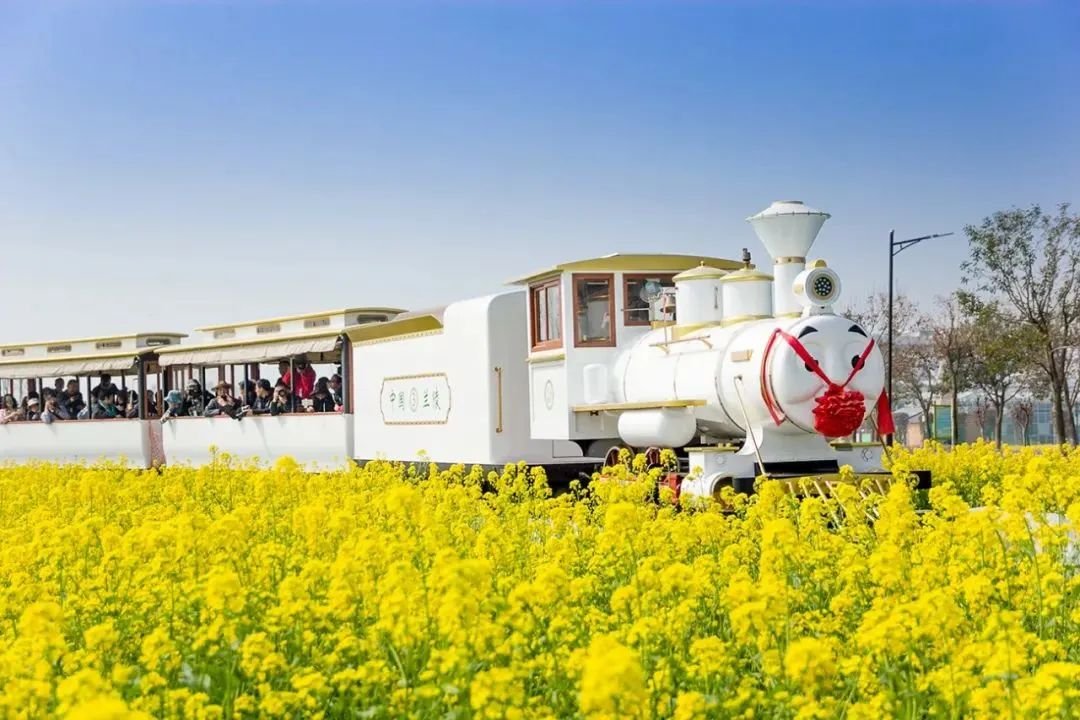 LinyiOfficial's tweet photo. Embrace the spirit of #spring in #Linyi with invigorating outdoor adventures! Wander through blooming landscapes or savor peaceful picnics in serene settings, indulging in the city's distinctive charm and tranquility. #TouringLinyi #SpringInLinyi https://t.co/abWXI86Nj4