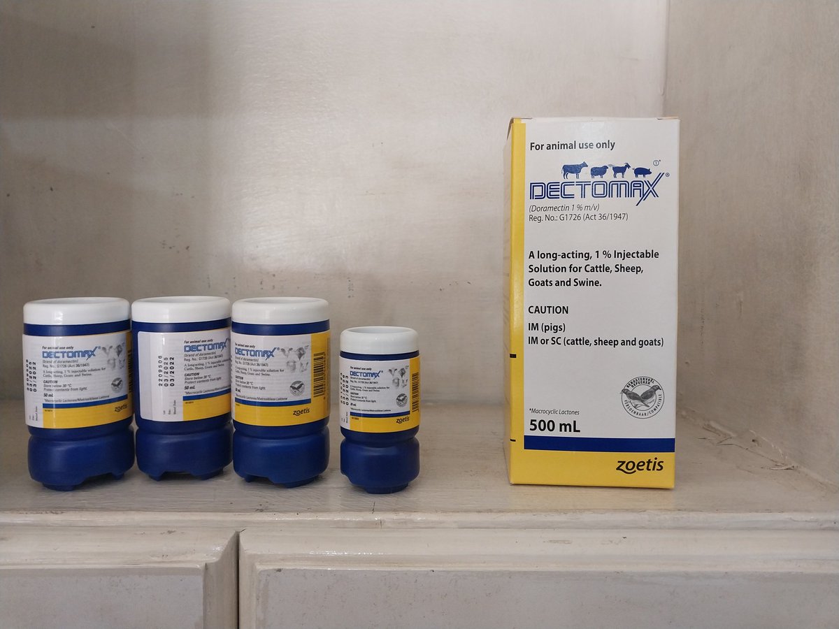 ArthurSembajwe's tweet photo. @enockk256 Thank you @COWBOY for this insightful submittion. Paddock sweeping also a good strategy to control worms in addition to ticks.
 Also get me one farm we try it out with my new long acting ingredient called dectomax . See some of our model farms https://t.co/gqfgCy54u4