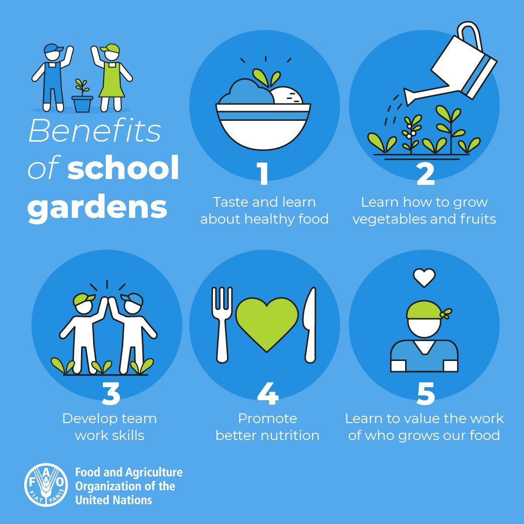 patcriolo's tweet photo. #School gardens is more than just growing food.
School gardens help to
🟨 Develop life skills
🟧Promote better #nutrition & healthy #fooddiets
🟥Increase environmental awareness
#SchoolMeals #changinglives https://t.co/n8EEdvj14n