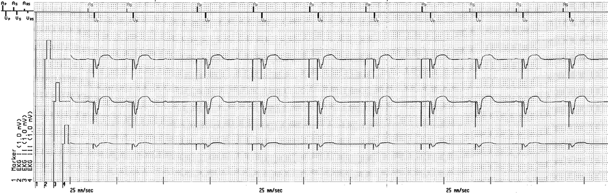 Dr. Andreas Roeschl tweet media