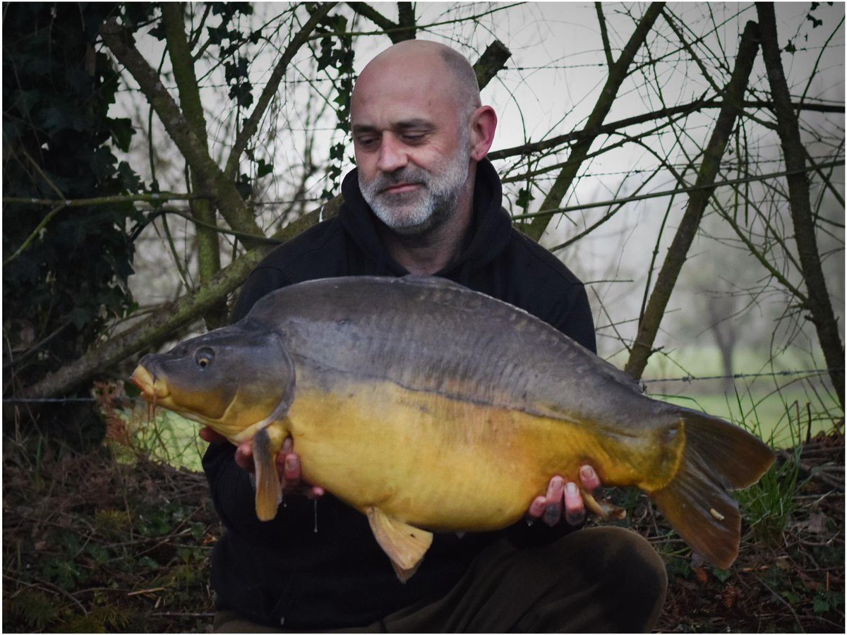 mgbaits's tweet photo. THE BOSS has bagged 🤩🤩🤩

29.10 🎯🎯🎯 

Another nod to this incredible bait that is putting so many carp on the bank all over the UK &amp; in Europe 

🎣 Lake: Etang De Manoir
🟢 Bait : Test 
⚖️ Weight: 29.10 lb 

@mgbaits #carp #fishing #mgbaits https://t.co/h9G9nDfhDZ