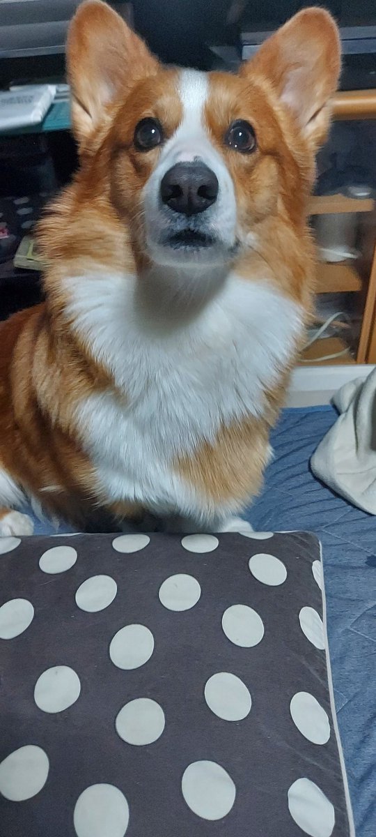 もうそろそろ飯じゃないですか？？って訴えてきてる🤣