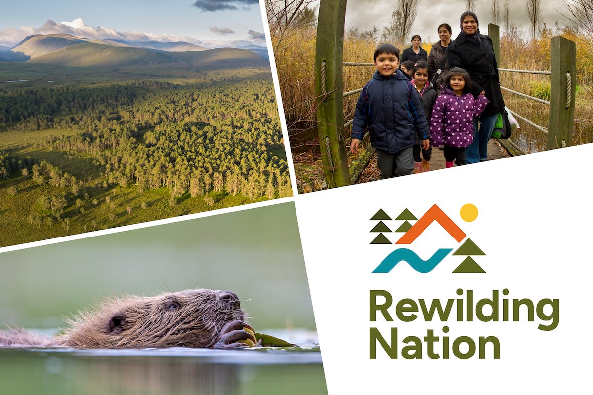 Now is your opportunity to speak up for nature in Scotland – we could be the world’s first #RewildingNation, with 30% of Scotland's land and seas committed to nature recovery. 🌿 Join us and @ScotRewilding: sign the Rewilding Nation Charter! 🖊️ rewild.scot/charter
