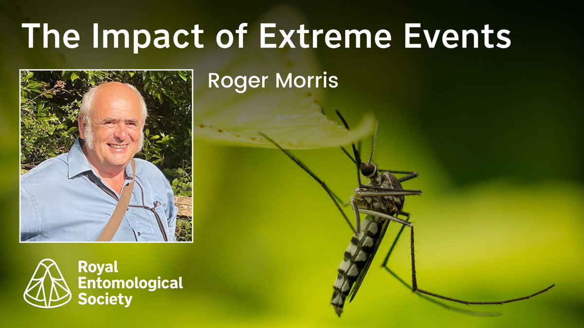 MedVet_Ent's tweet image. The next keynote speaker is Roger Morris.

Roger worked in various roles at The Nature Conservancy Council, has been joint organiser of the British Hoverfly Recording Scheme and co-authored the best-selling 'Britain’s Hoverflies', now the ‘go-to’ guide for novices. #RESExtreme24