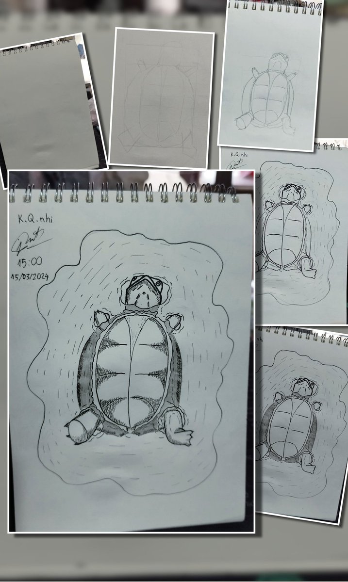 drawing myself..
#KQnhi #turtleart #inkingingart #turtledraw