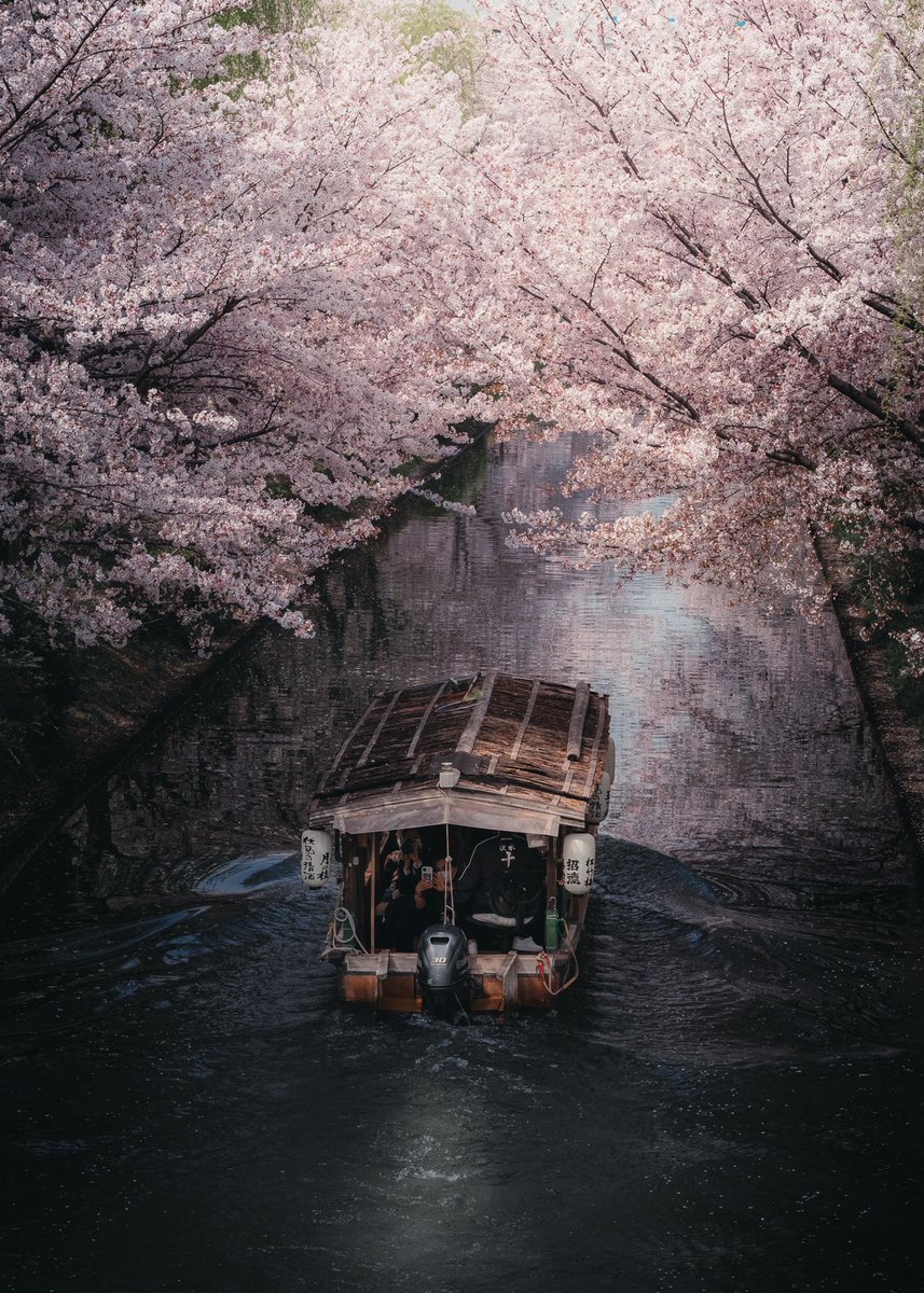 Konigraphy's tweet photo. Before // After

「マスク」を駆使して春の京都を幻想的に仕上げる🌸 https://t.co/9aKE2BK321