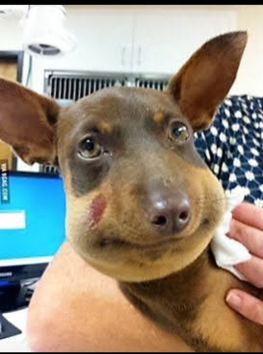 Binamu Wa Pili 🆇 tweet media