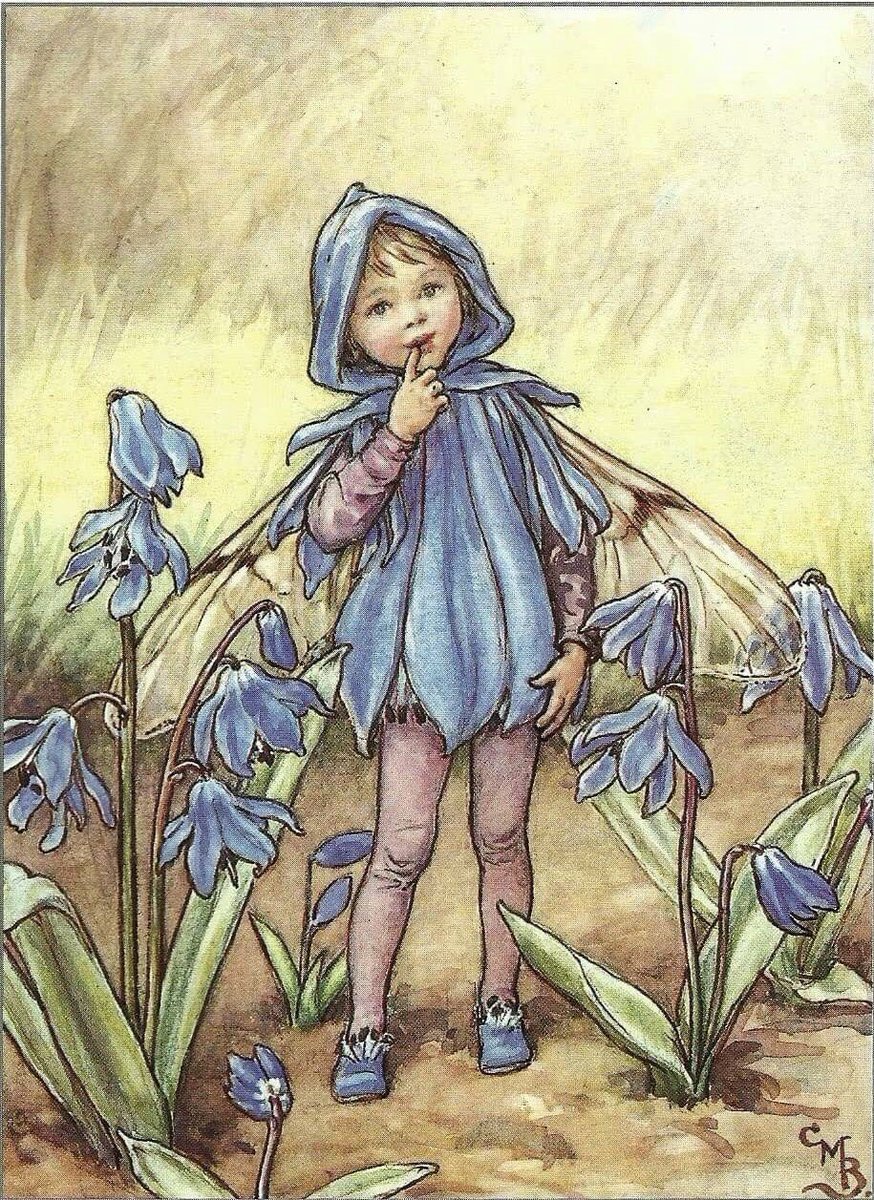 #HappyFriday everyone 🙋‍♀️💜🕊
#FlowersOnFriday 
#fairyfriday

#Art The Scilla Fairy by Cicely Mary Barker