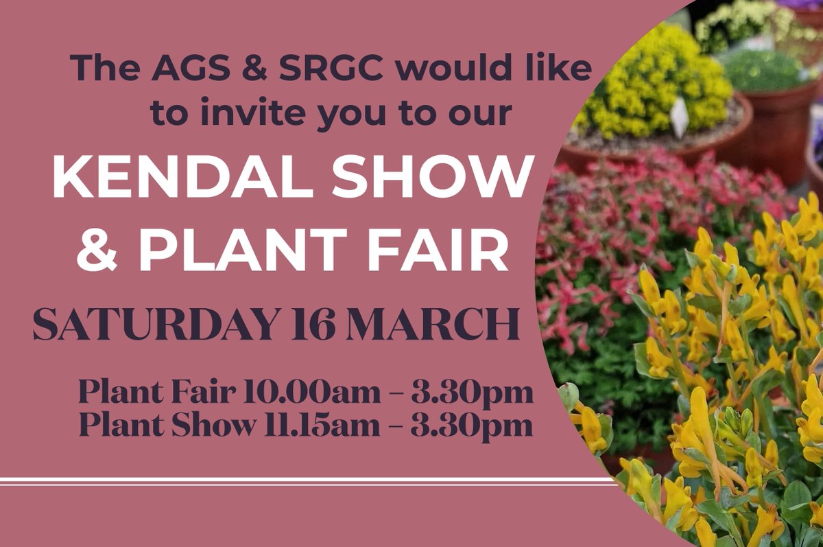 Come along tomorrow to our show and plant fair held at Kirkbie Kendal School, Lound Road, Kendal, LA9 7EQ. Nurseries attending: Aberconwy, Dale House Garden, Edrom, Hartside, Kevock, Pottertons, Primrose Bank, Tinnisburn. Entry £4 (cash only), AGS & @ScottishRockGC members free!